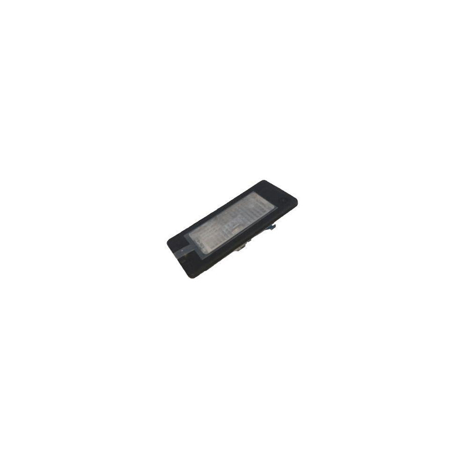 BUGIAD Bsp24969 Licence Plate Light