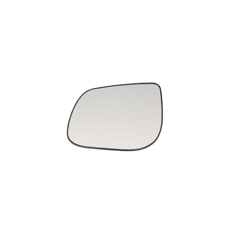 Blic 6502-08-6038200P Front Cowling For Renault Megane Scenic (Ja)