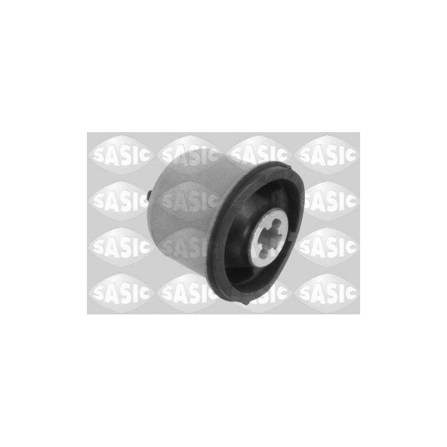 Sasic 2600013 Axle Bush