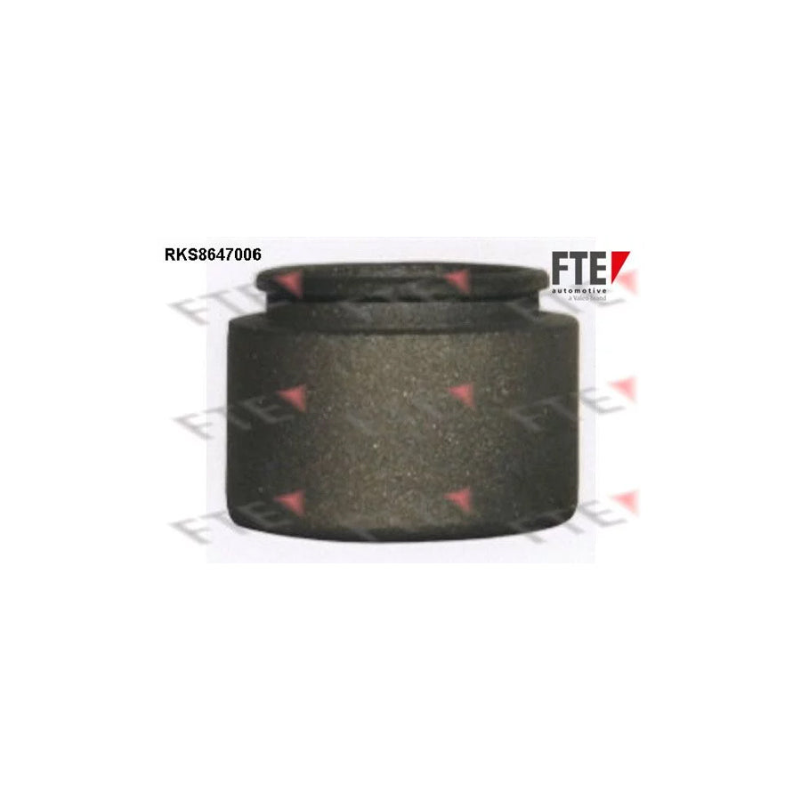 FTE Rks8647006 Piston, Brake Caliper