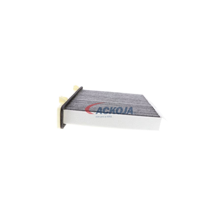 Ackoja A37-31-0005 Pollen Filter | ML Performance US