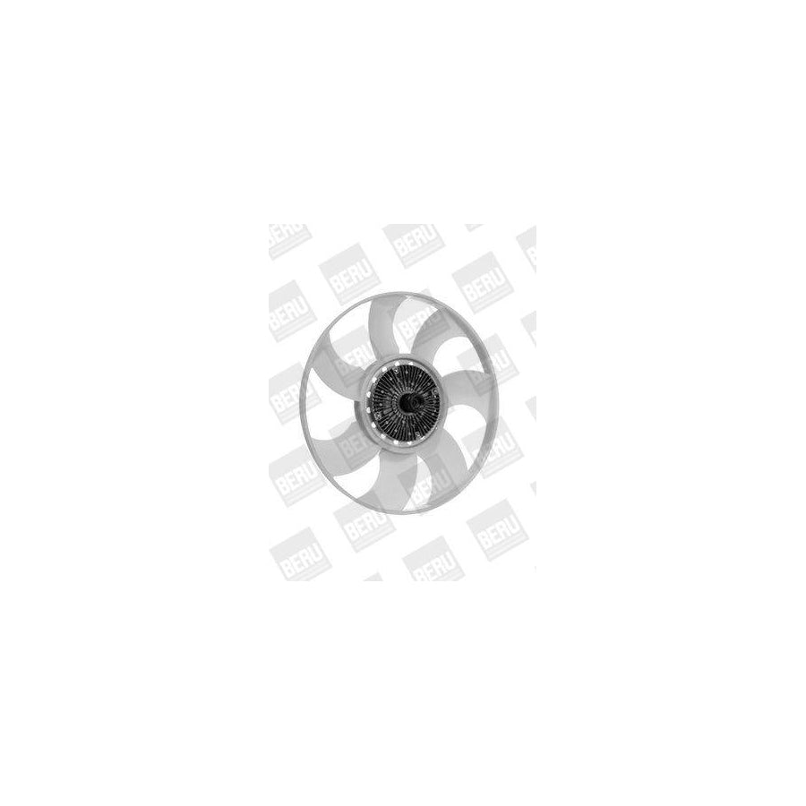 Beru Lkk001 Fan, Radiator for Ford Transit