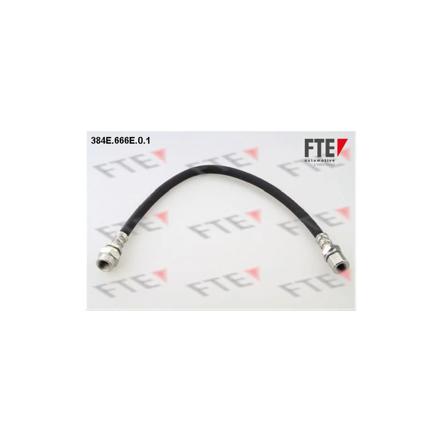 FTE 384E.666E.0.1 Brake Hose