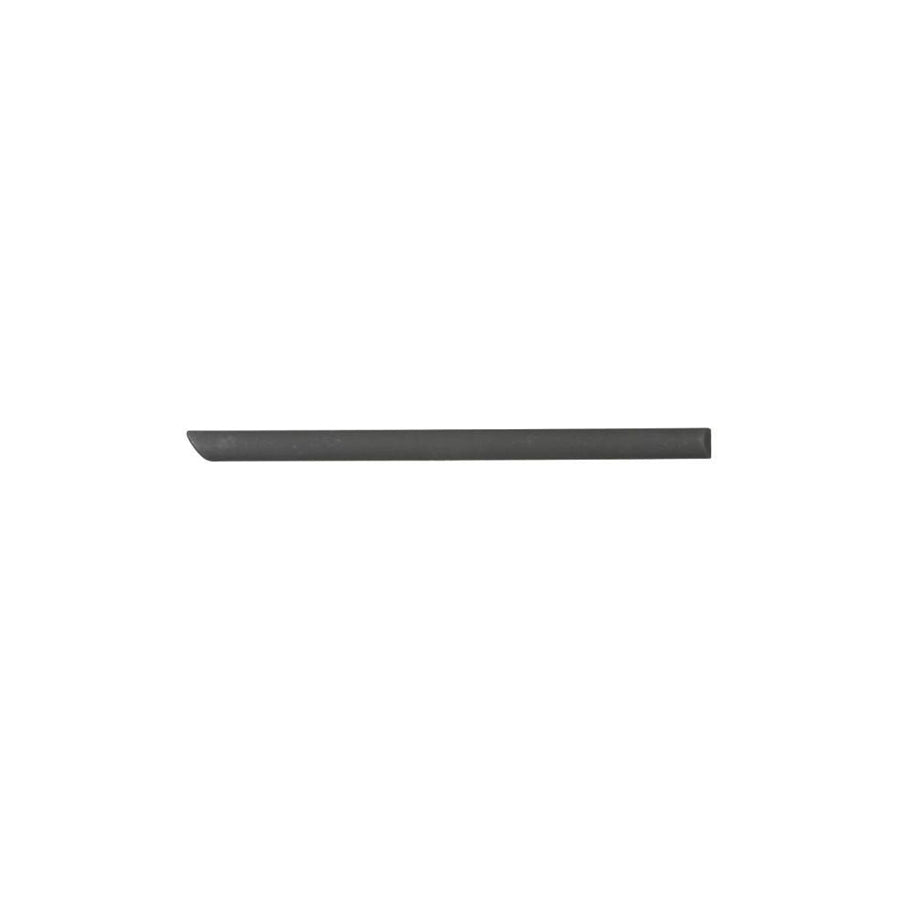 Blic 9999-43-006444P Door Molding For Skoda Octavia