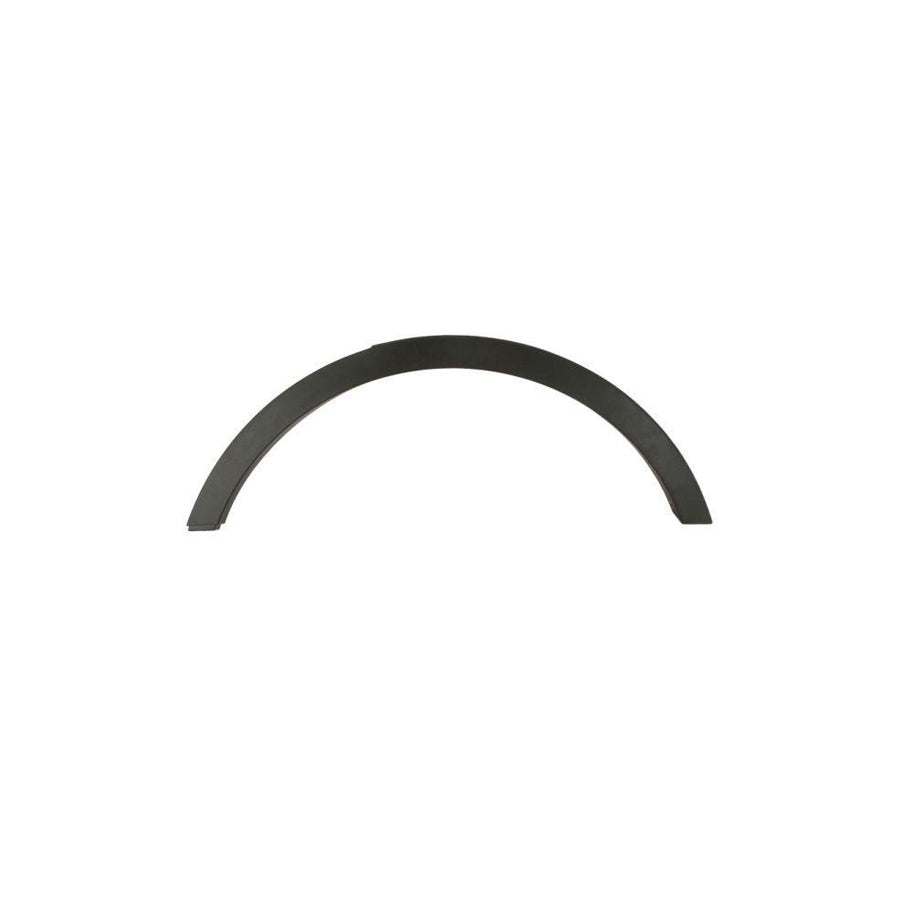 Blic 5703-08-2579377P Trim / Protective Strip, Mudguard