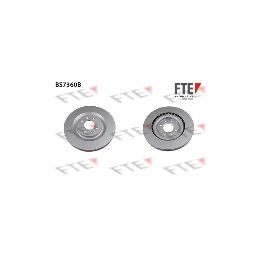 FTE Bs7360B Brake Disc