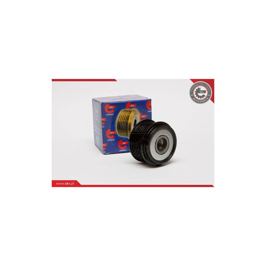 Esen Skv 11SKV030 Alternator Freewheel Clutch