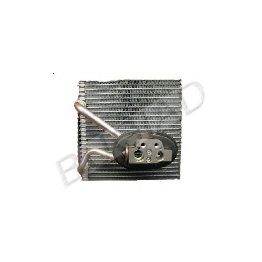 BUGIAD Bsp22737 Air Conditioning Evaporator