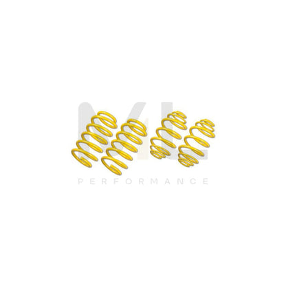 ST Suspensions 28281067 Seat Exeo SPORT SPRINGS