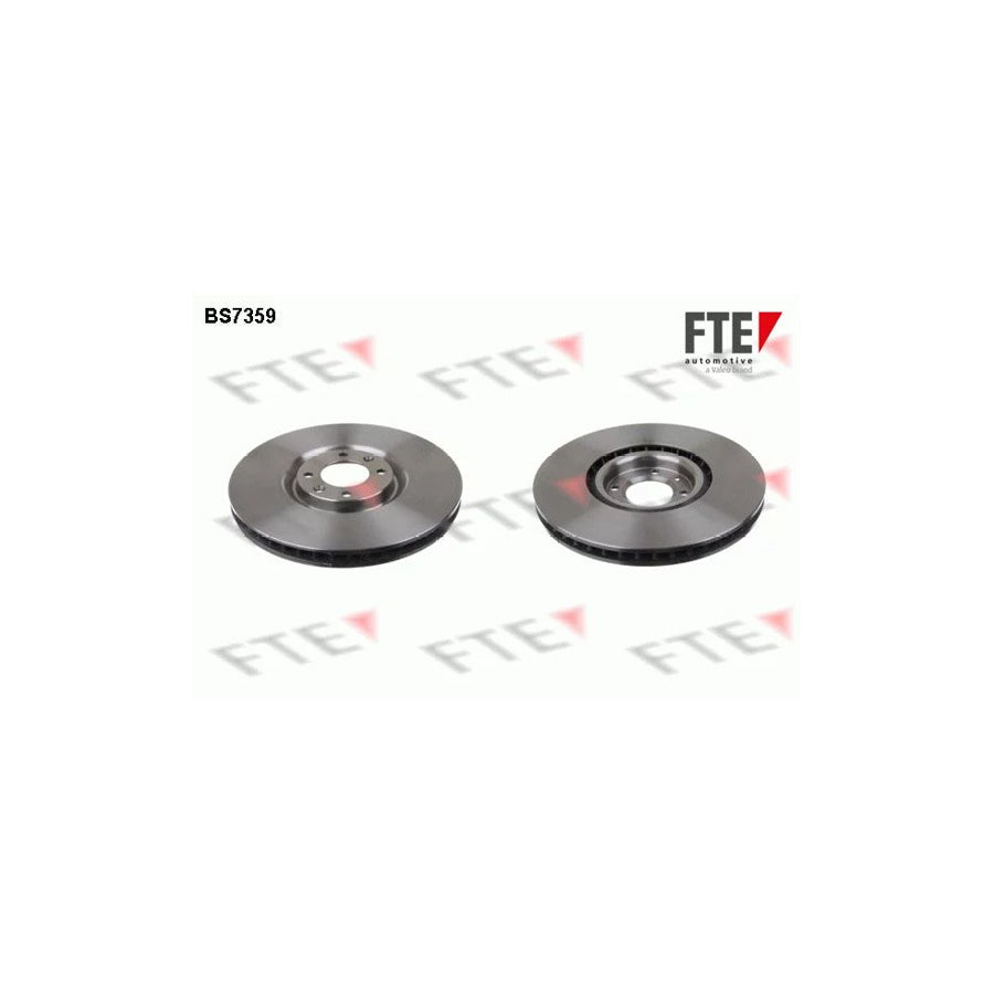 FTE Bs7359 Brake Disc