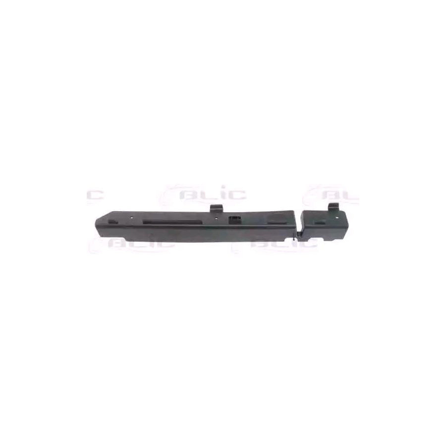Blic 5510-00-6009925P Bumper Moulding