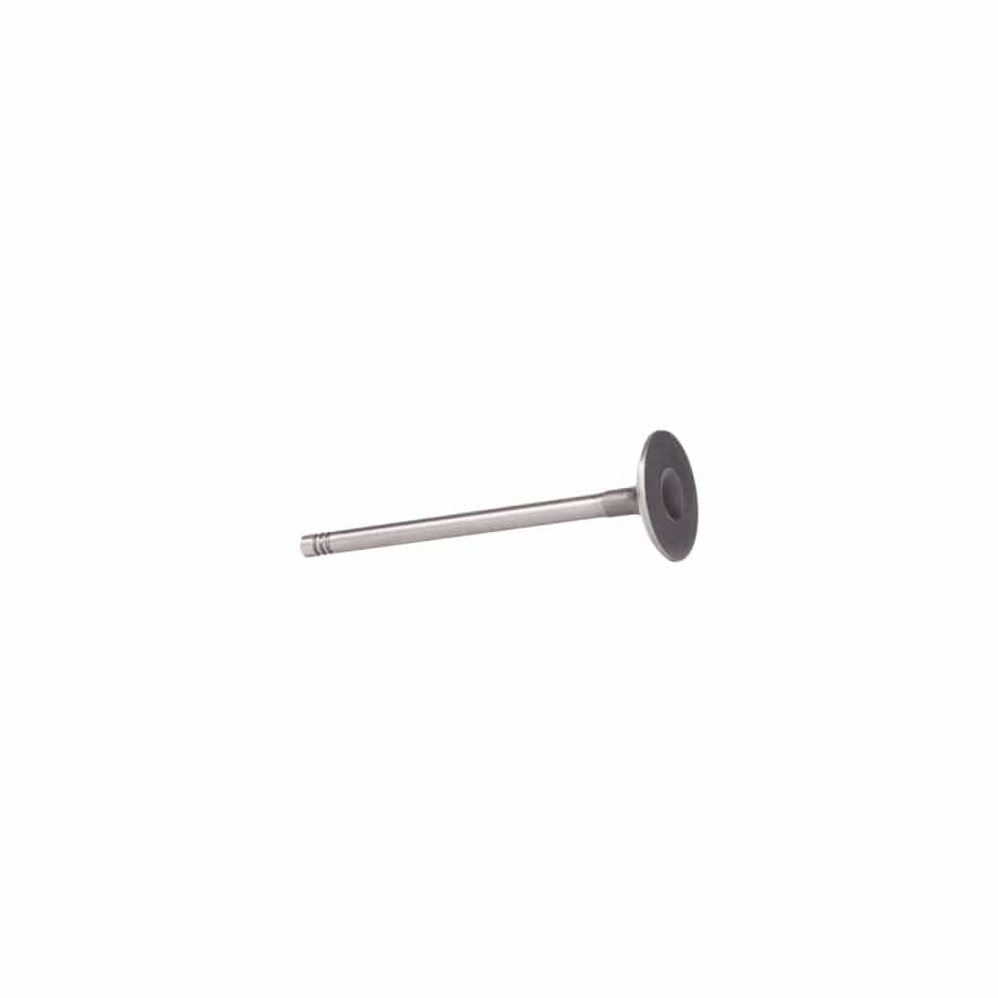 Borsehung 11091510305 Inlet Valve