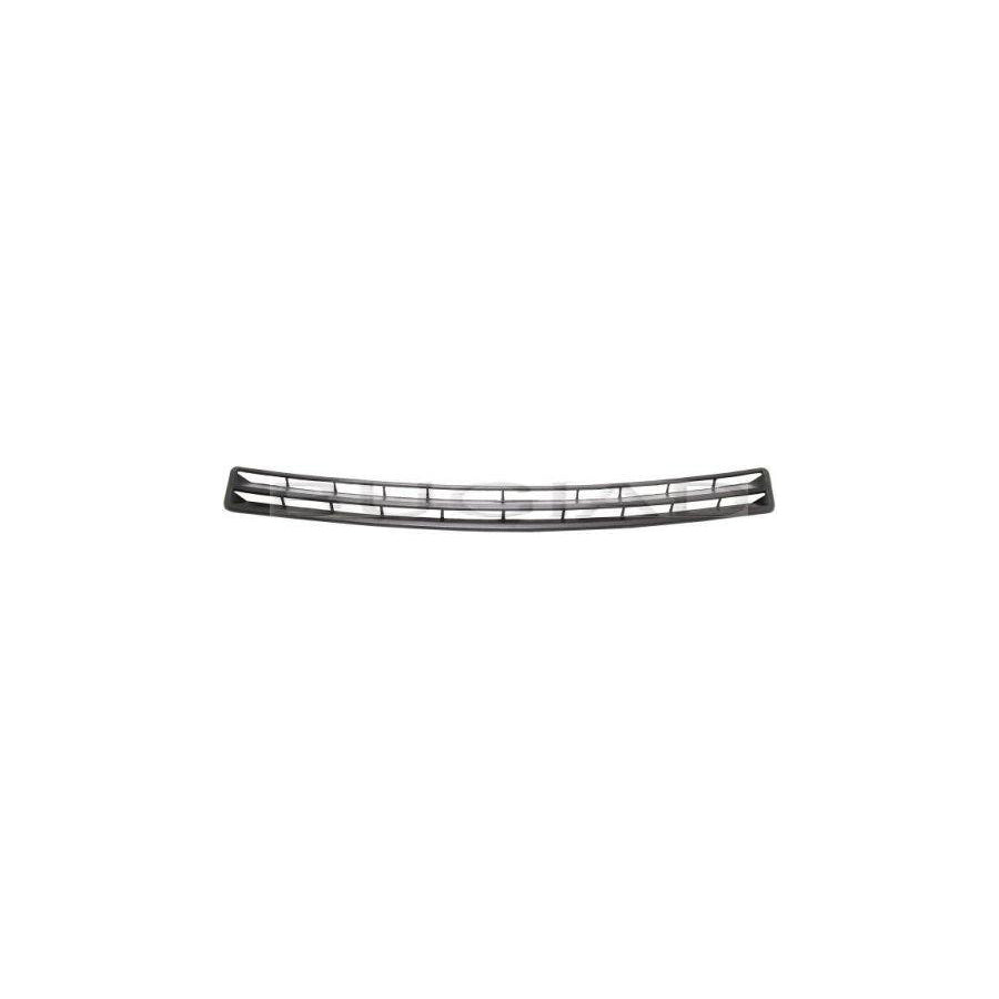 BUGIAD Bsp21213 Radiator Grille Insert for Skoda Favorit
