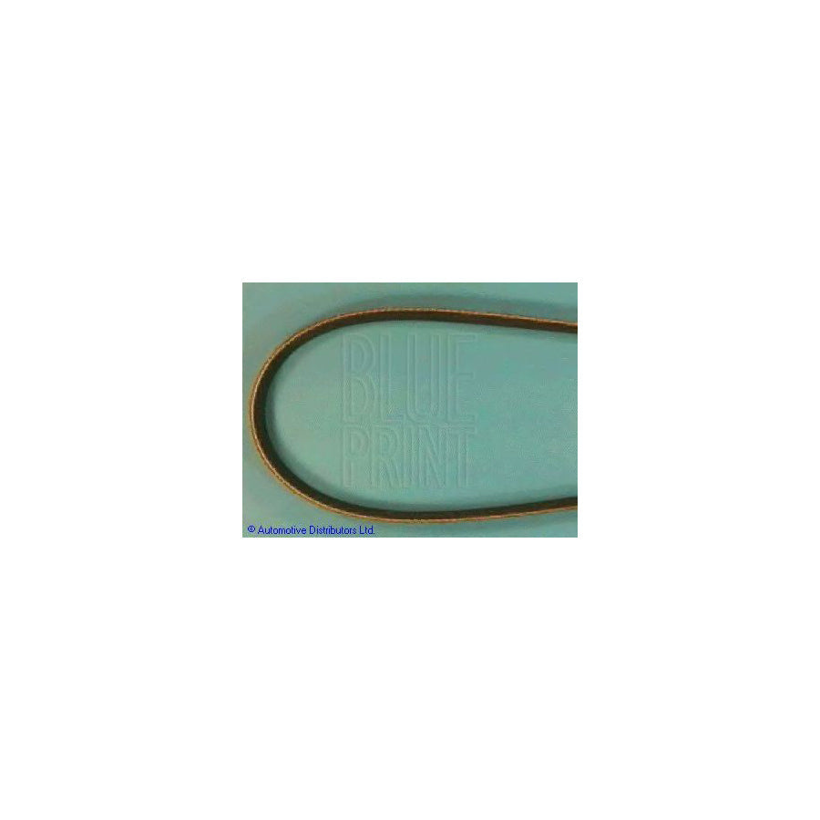Blue Print Ads79604 V-Ribbed Belt