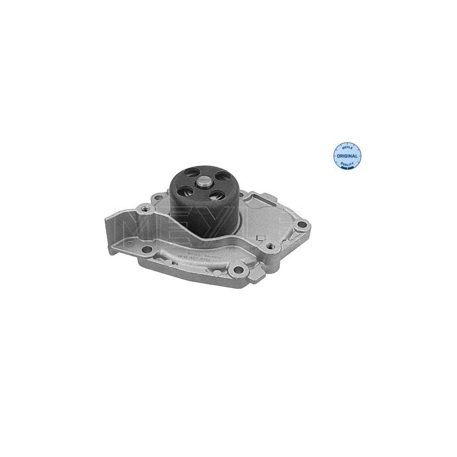 Meyle 16-13 220 0022 Water Pump
