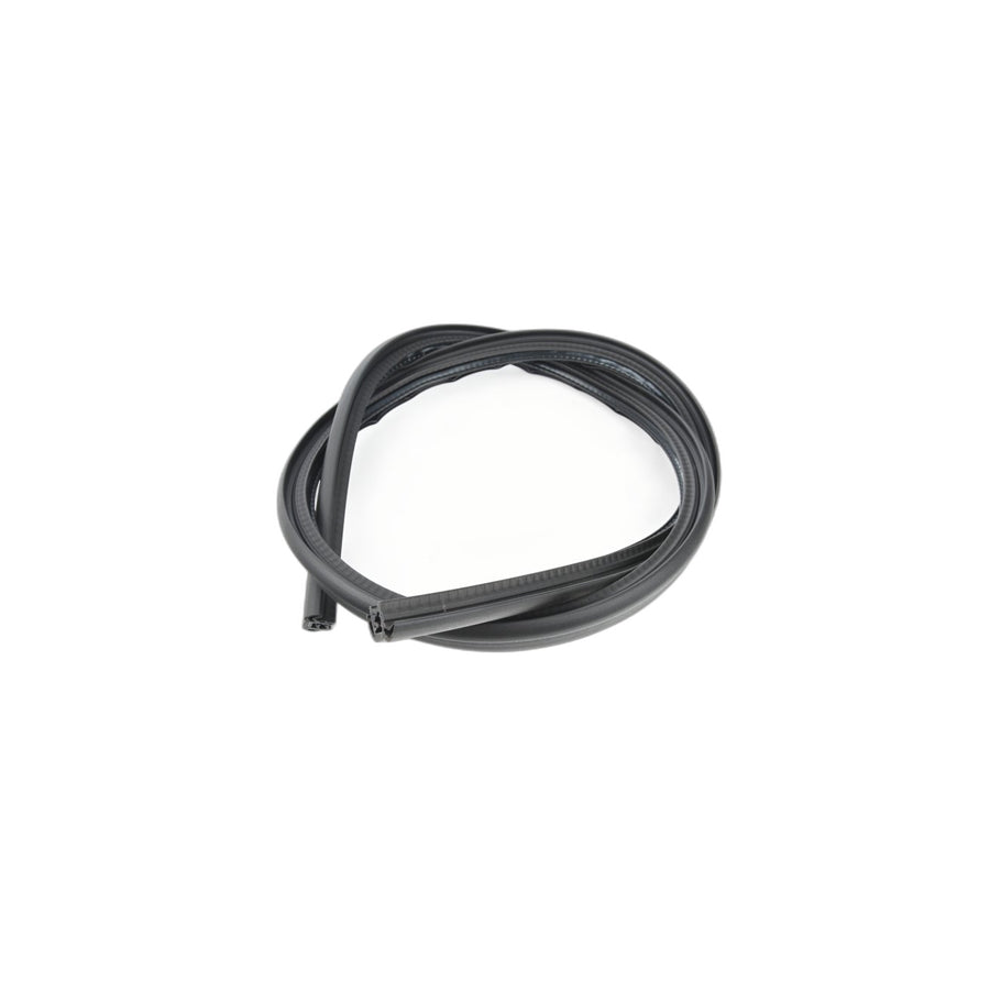 Genuine BMW 51767046102 E89 Door Weatherstrip Right (Inc. Z4) | ML Performance UK Car Parts