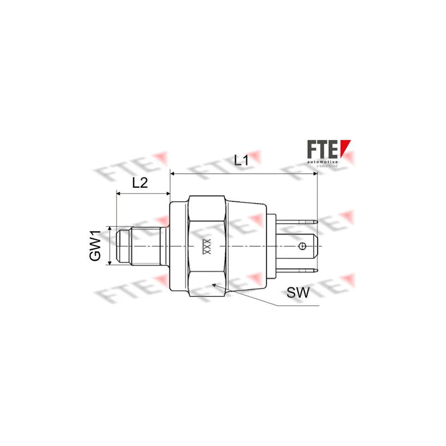 FTE 9910221 Brake Light Switch