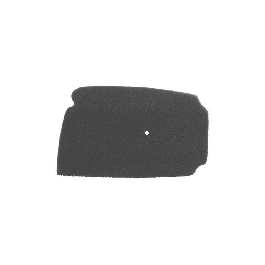 Rms 100600171 Air Filter