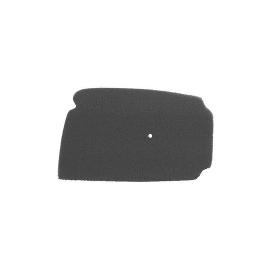 Rms 100600171 Air Filter