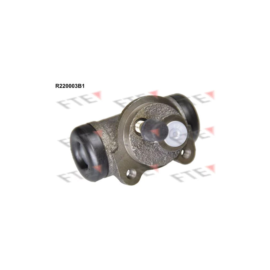 FTE R220003B1 Wheel Brake Cylinder for Renault 21