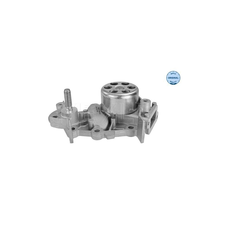 Meyle 16-13 220 0027 Water Pump For Renault Twingo Ii Hatchback
