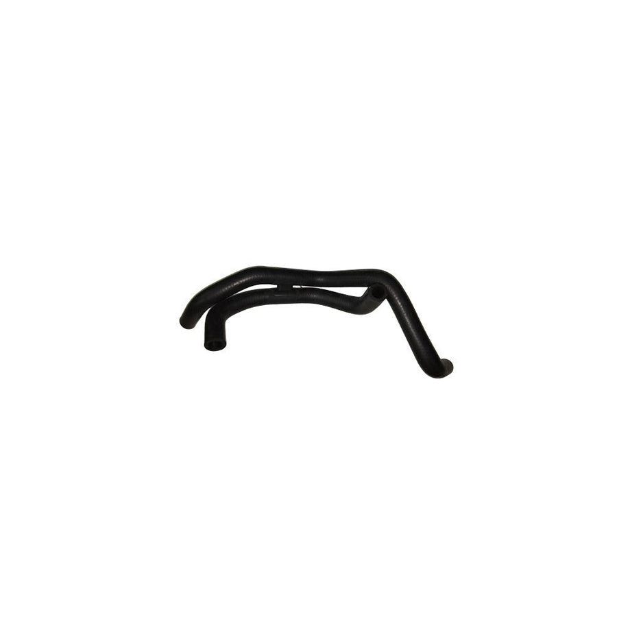 BUGIAD Bsp25013 Radiator Hose