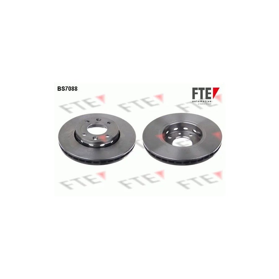 FTE 9072750 Brake Disc for KIA Carens II (Fj)