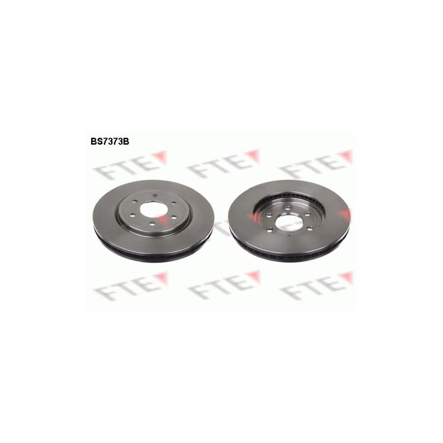 FTE Bs7373B Brake Disc