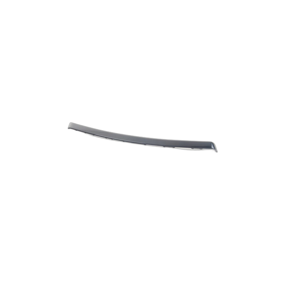 Genuine BMW 51419171787 E90 E91 Decorative Strip, Door Front Left DIAMANTSCHWARZ (Inc. 328i, 330i & 316d) | ML Performance US Car Parts