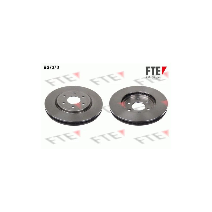 FTE Bs7373 Brake Disc