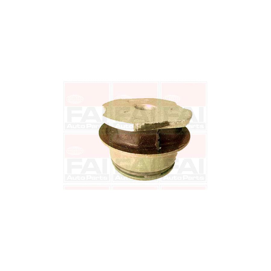 Fai Autoparts Ss441 Axle Bush For Fiat Punto