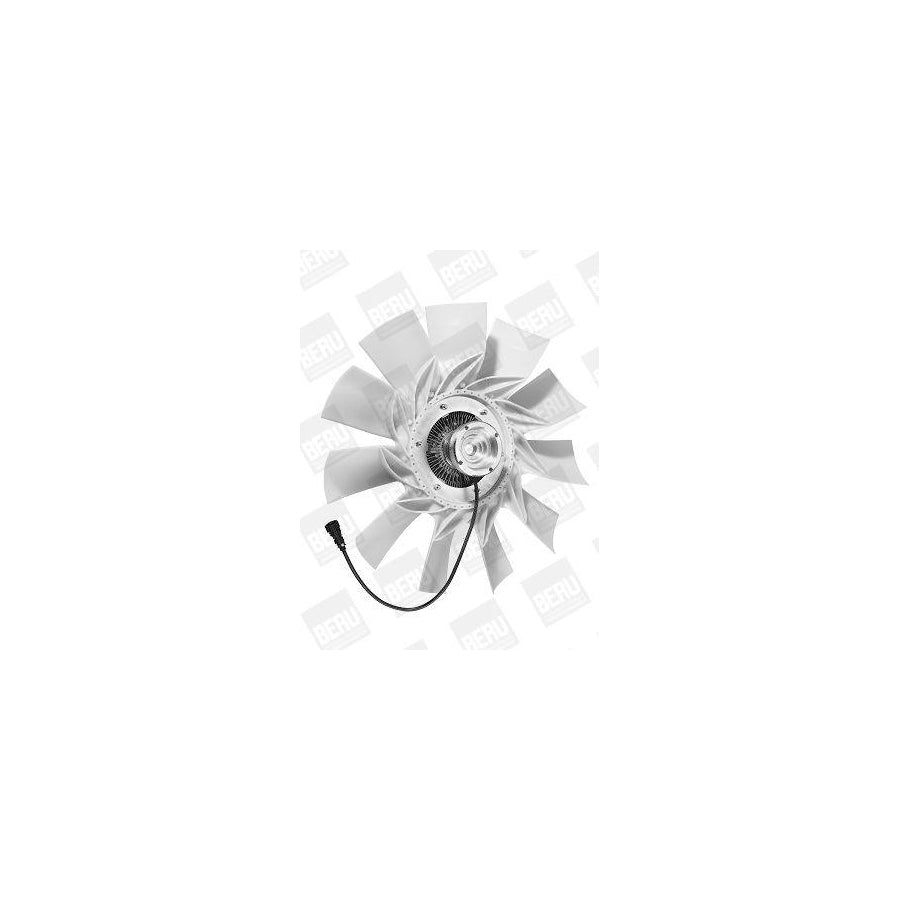 Beru Lkk047 Fan, Radiator