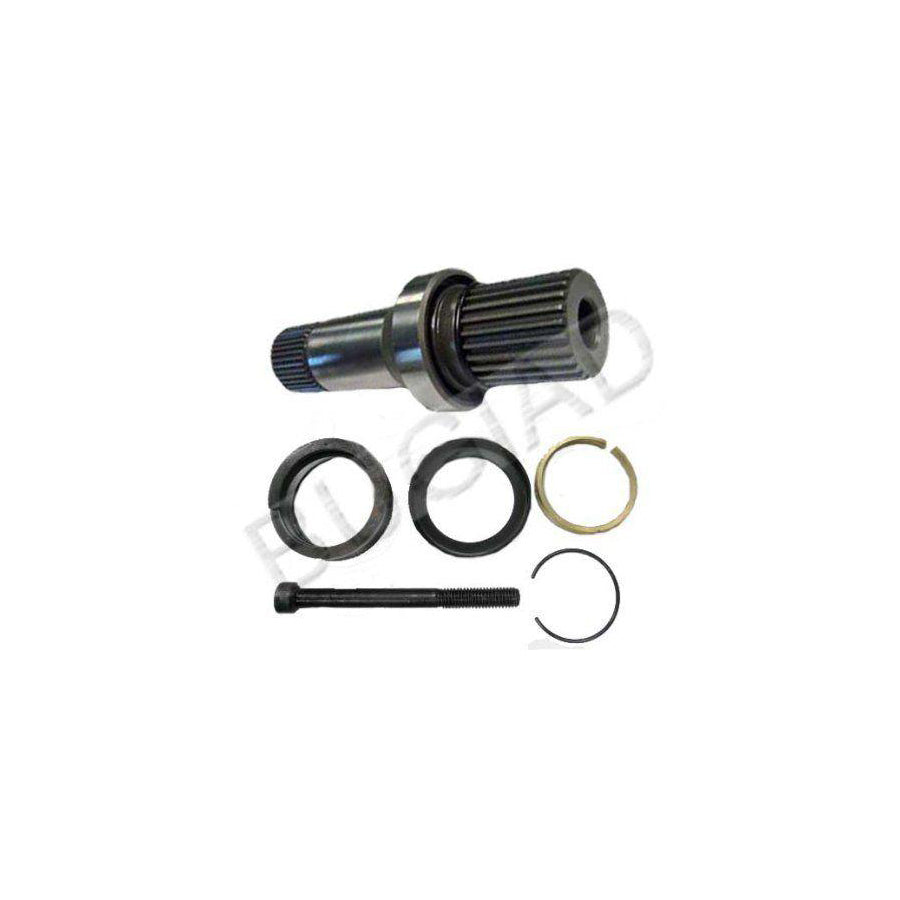 BUGIAD Bsp22910 Stub Axle, Differential