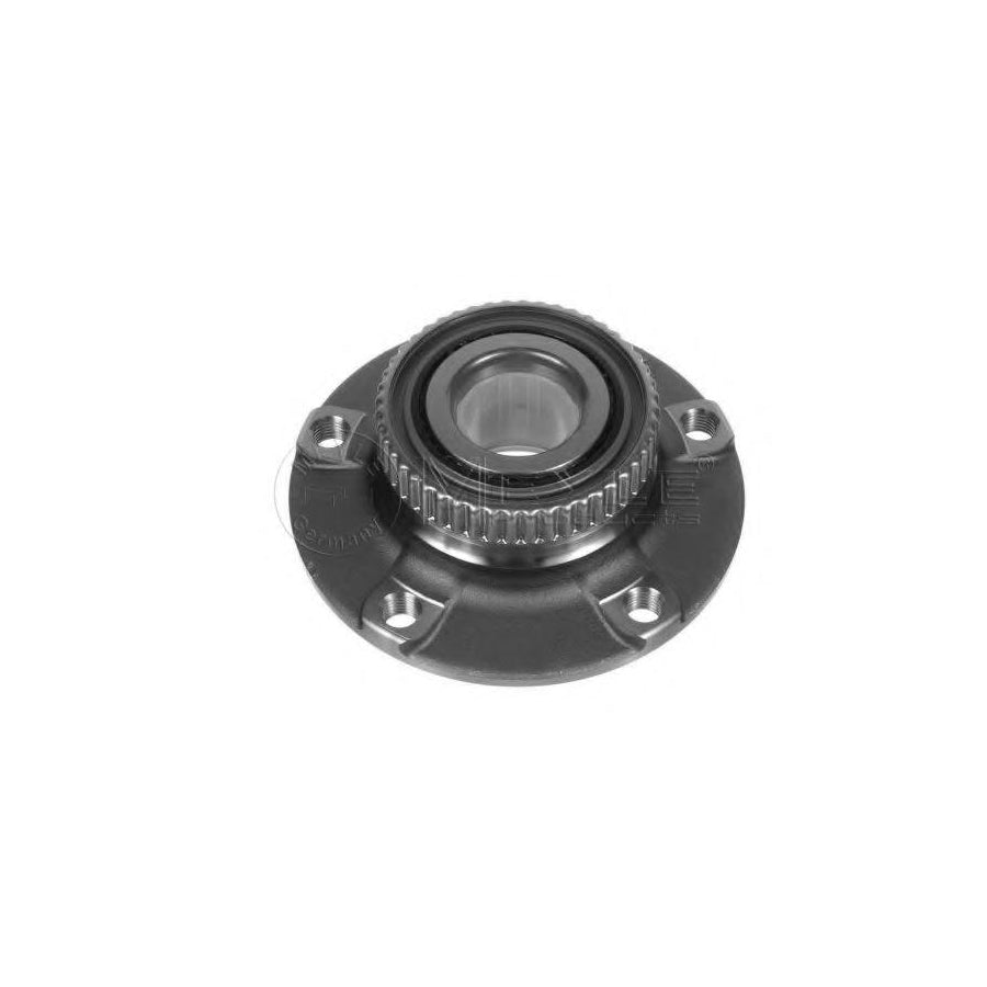 Meyle 300 312 2100 Wheel Bearing Kit