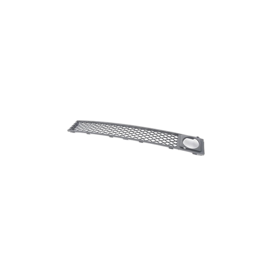 Genuine BMW 51117186507 F02 F01 F04 Grill, Air Intake, Center ACC (Inc. 730Li, 760i & Hybrid 7) | ML Performance US Car Parts