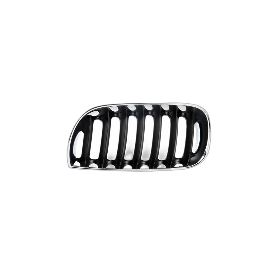 Genuine BMW 51133402909 E83 Grille, Front, Left (Inc. X3) | ML Performance US Car Parts