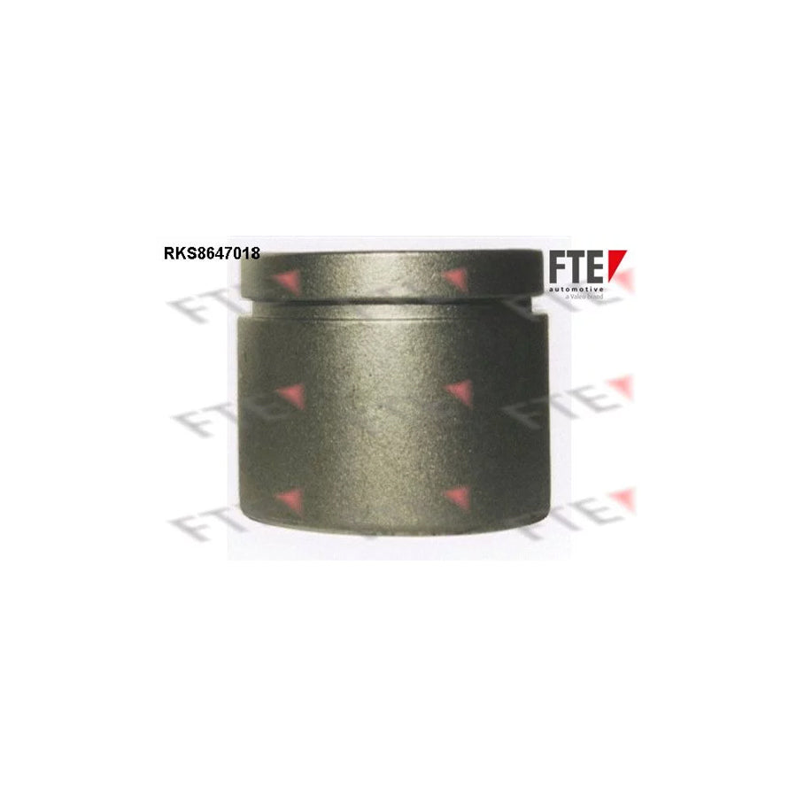 FTE Rks8647018 Piston, Brake Caliper