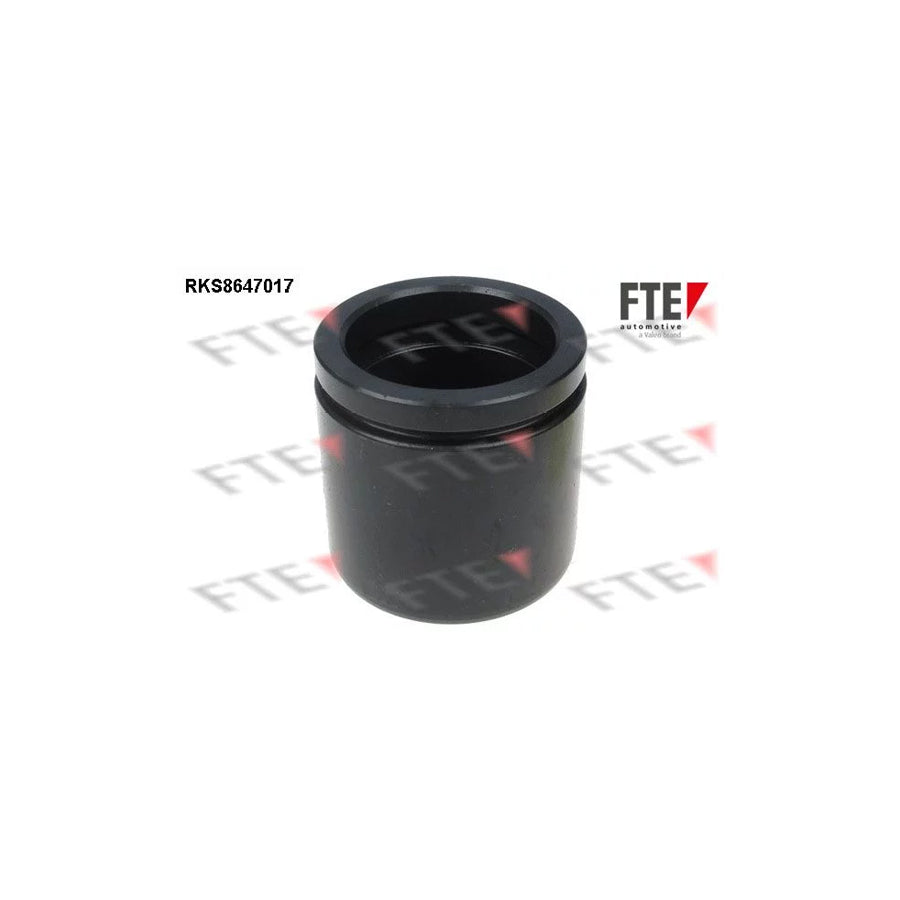 FTE Rks8647017 Piston, Brake Caliper