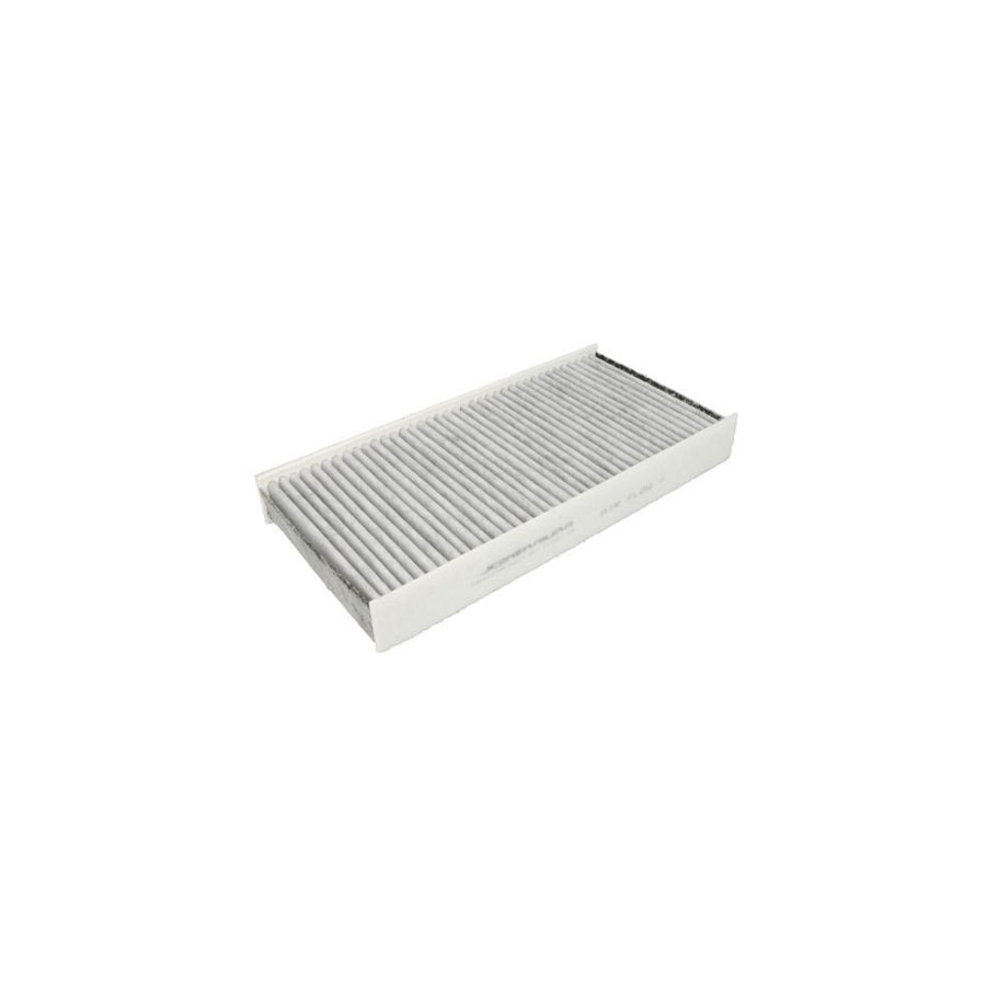 JC Premium B4P016CPR Pollen Filter