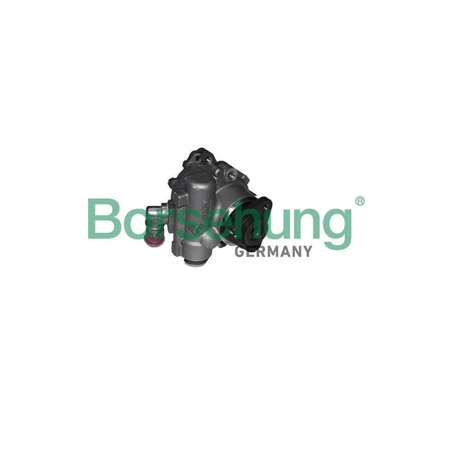 Borsehung B18222 Power Steering Pump for Audi A6
