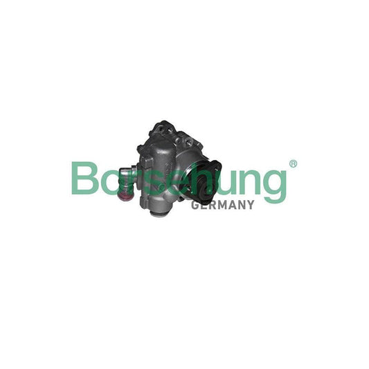 Borsehung B18222 Power Steering Pump for Audi A6