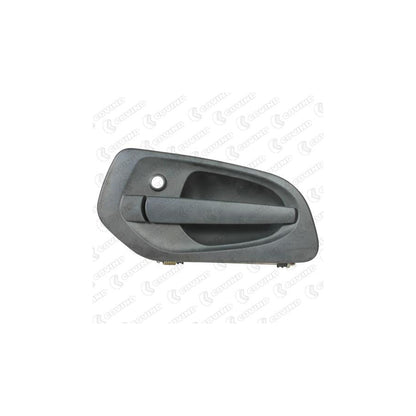 Covind 960/154 Door Handle