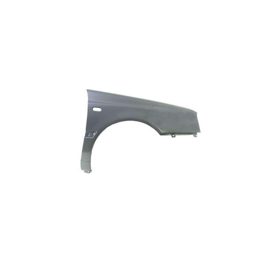 Blic 6601-01-0011831P Repair Panel