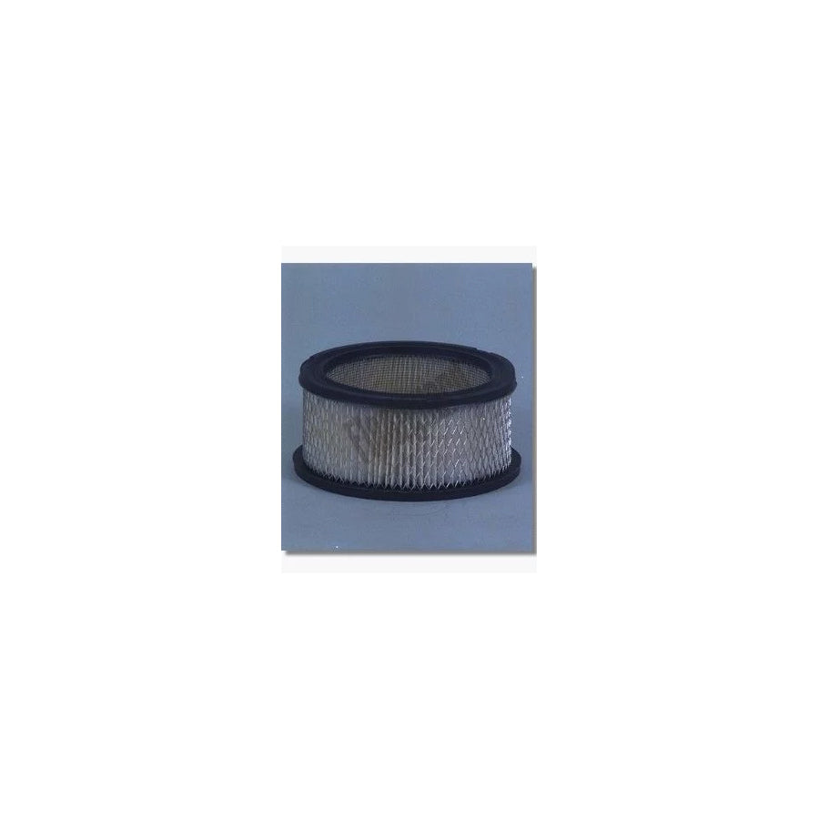Fleetguard Af290 Air Filter