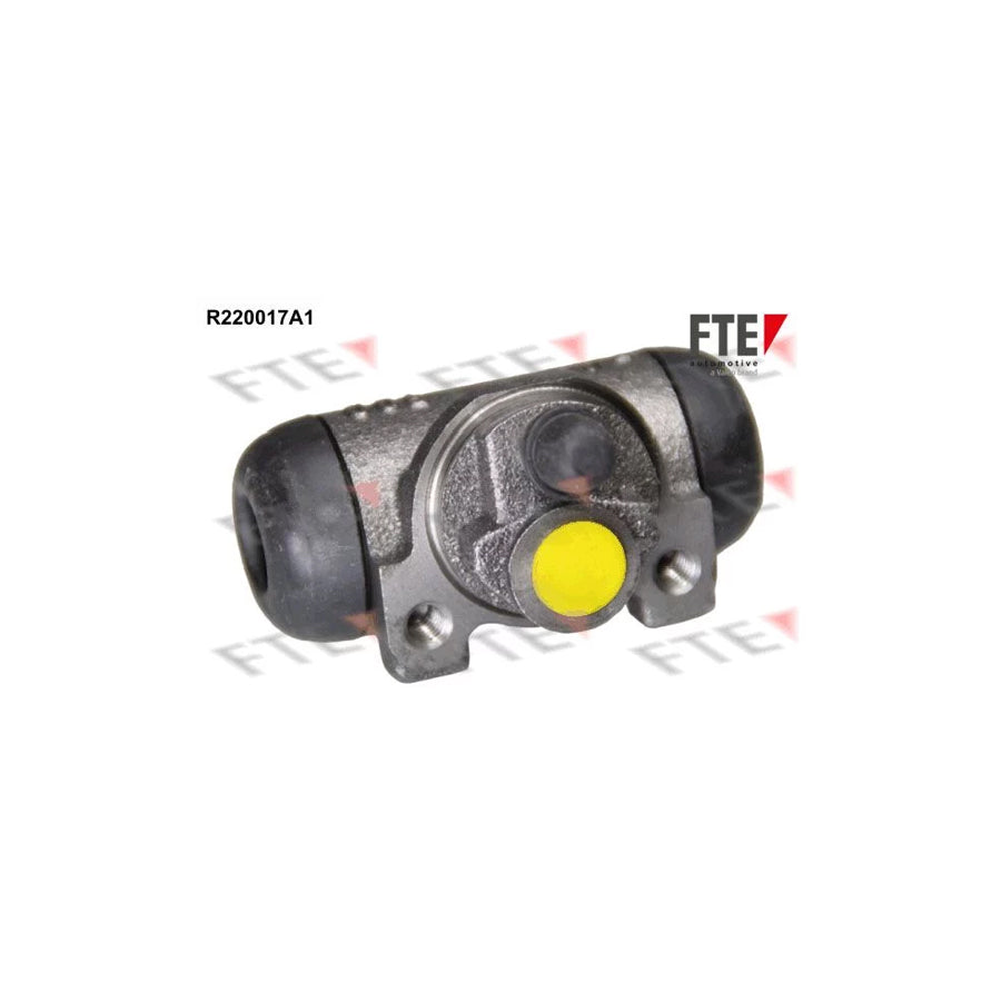 FTE R220017A1 Wheel Brake Cylinder