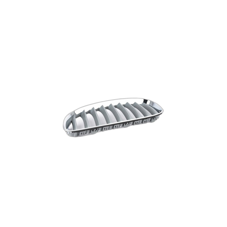 Genuine BMW 51137181547 E89 Grille Left ALU MATT (Inc. Z4) | ML Performance US Car Parts