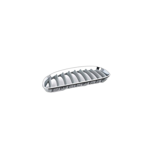 Genuine BMW 51137181547 E89 Grille Left ALU MATT (Inc. Z4) | ML Performance US Car Parts