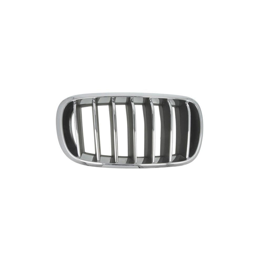 Blic 6502-07-00969944P Radiator Grille