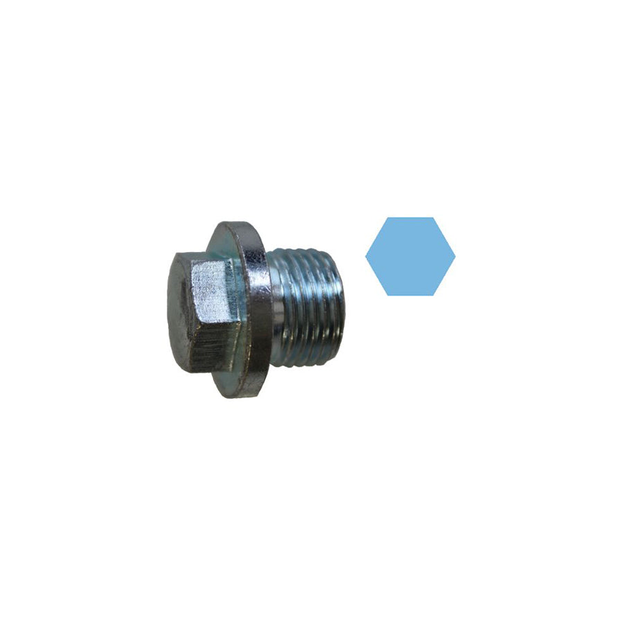Corteco 220136S Sealing Plug, Oil Sump for VW Lt