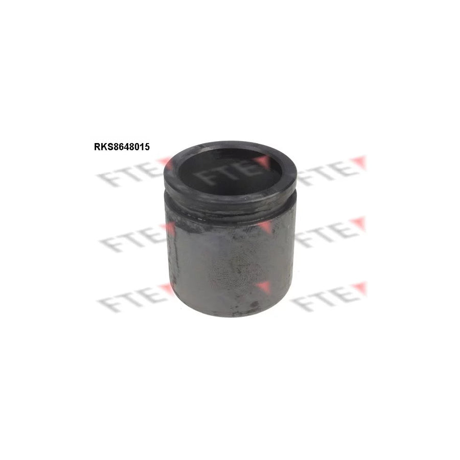 FTE Rks8648015 Piston, Brake Caliper